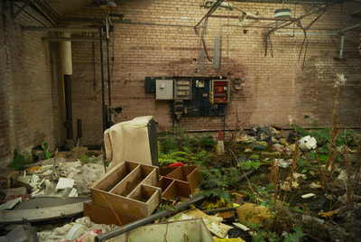 Lost building overgrown by fern and covered in trash